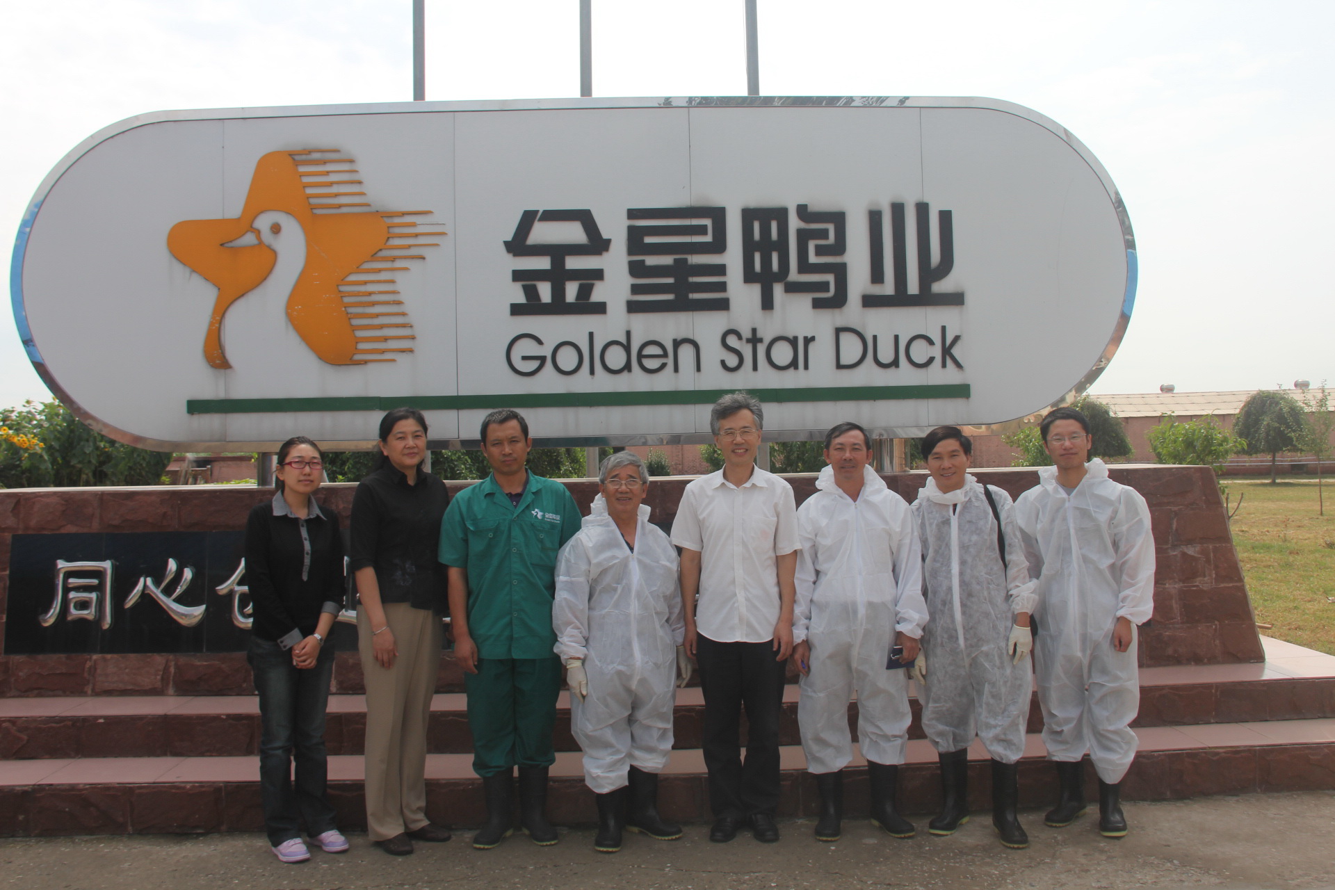 Công ty Golden Star Duck tại Trung Quốc